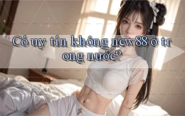 Có uy tín không new88 ở trong nước
