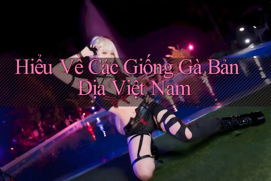 Hiểu Về Các Giống Gà Bản Địa Việt Nam Hiểu Về Các Giống Gà Bản Địa Việt Nam