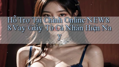 hỗ trợ tài chính online new88 vay giấy tờ cá nhân hiện nay