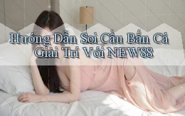 hướng dẫn soi cầu bắn cá giải trí với new88