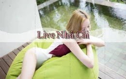 Live Nhà cái