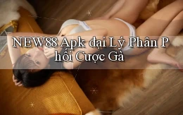 new88  apk đại lý phân phối cược gà