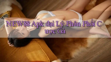 new88  apk đại lý phân phối cược gà