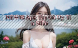 new88  apk đấu gà uy tín nhất