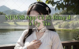 new88 app cá độ bóng đá uy tín