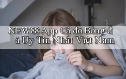 new88 app cá độ bóng đá uy tín nhất việt nam