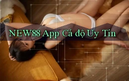 new88 app cá độ uy tín