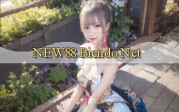 new88 biendo net