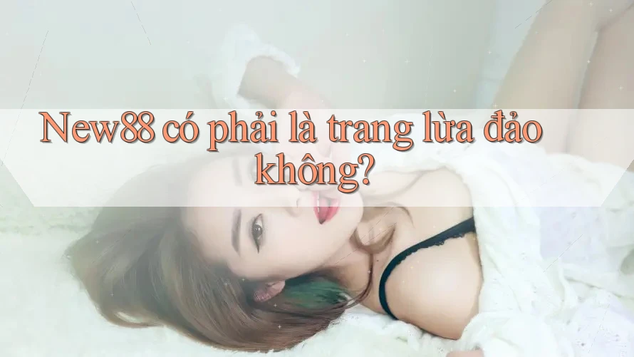 New88 có phải là trang lừa đảo không? New88 có phải là trang lừa đảo không?