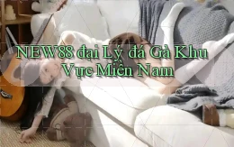 new88  đại lý đá gà khu vực miền nam