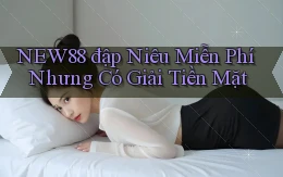 new88  đập niêu miễn phí nhưng có giải tiền mặt