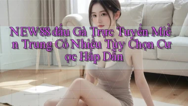 new88  đấu gà trực tuyến miền trung có nhiều tùy chọn cược hấp dẫn