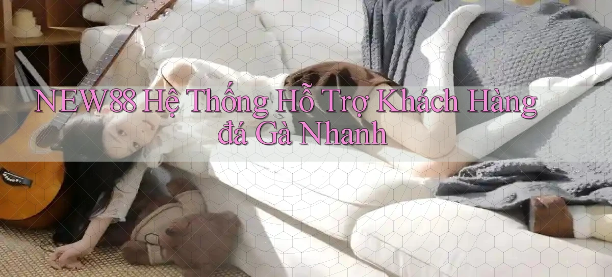 new88  hệ thống hỗ trợ khách hàng đá gà nhanh