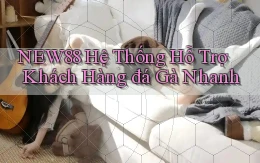 new88  hệ thống hỗ trợ khách hàng đá gà nhanh