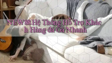 new88  hệ thống hỗ trợ khách hàng đá gà nhanh