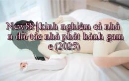 New88 kinh nghiệm cá nhân đối tác nhà phát hành game (2025)