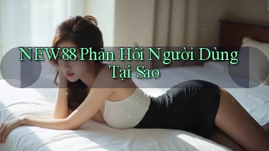 new88 phản hồi người dùng tại sao