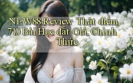New88 review thật điểm 710   bài học đắt giá, chính thức