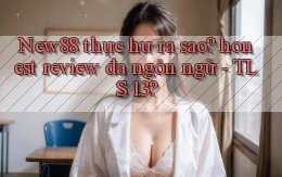 New88 thực hư ra sao honest review đa ngôn ngữ   TLS 1.3