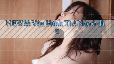 new88 vận hành thế nào ở đâu