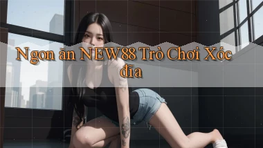 ngon ăn new88 trò chơi xóc đĩa