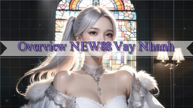 overview new88 vay nhanh