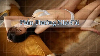 Phần thưởng Nhà cái