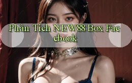 phân tích new88 box facebook