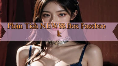 phân tích new88 box facebook