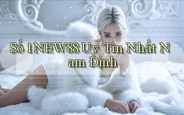 số 1 new88 uy tín nhất Nam Định