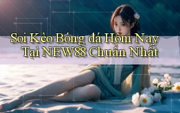 soi kèo bóng đá hôm nay tại new88 chuẩn nhất
