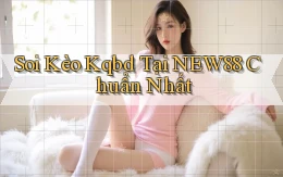 soi kèo kqbd tại new88 chuẩn nhất