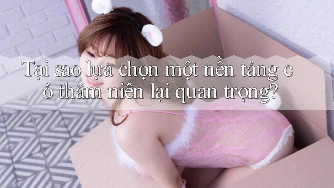 Tại sao lựa chọn một nền tảng có thâm niên lại quan trọng? Tại sao lựa chọn một nền tảng có thâm niên lại quan trọng?