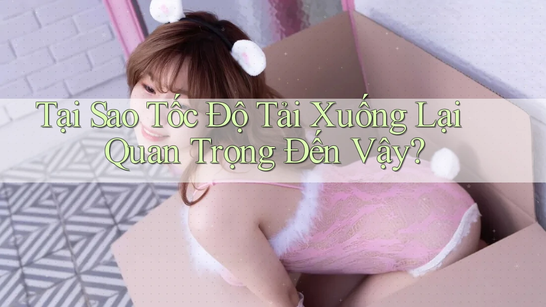 Tại Sao Tốc Độ Tải Xuống Lại Quan Trọng Đến Vậy? Tại Sao Tốc Độ Tải Xuống Lại Quan Trọng Đến Vậy?