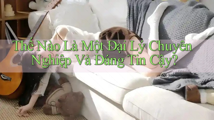 Thế Nào Là Một Đại Lý Chuyên Nghiệp Và Đáng Tin Cậy?
