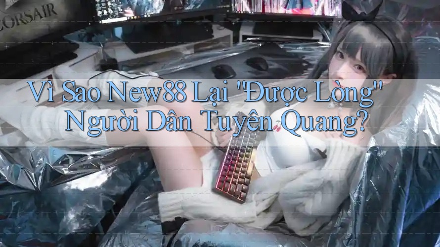 Vì Sao New88 Lại “Được Lòng” Người Dân Tuyên Quang? Vì Sao New88 Lại “Được Lòng” Người Dân Tuyên Quang?